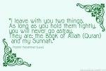 Hadith: Hold them tightly