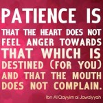 Wisdom: Patience